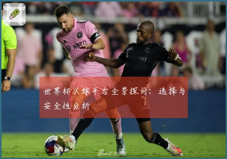 世界杯买球平台全景探讨：选择与安全性分析