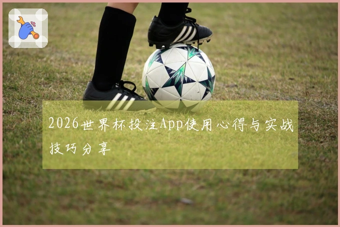 2026世界杯投注App使用心得与实战技巧分享