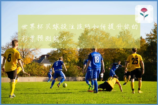世界杯买球投注技巧如何提升你的彩票预测能力