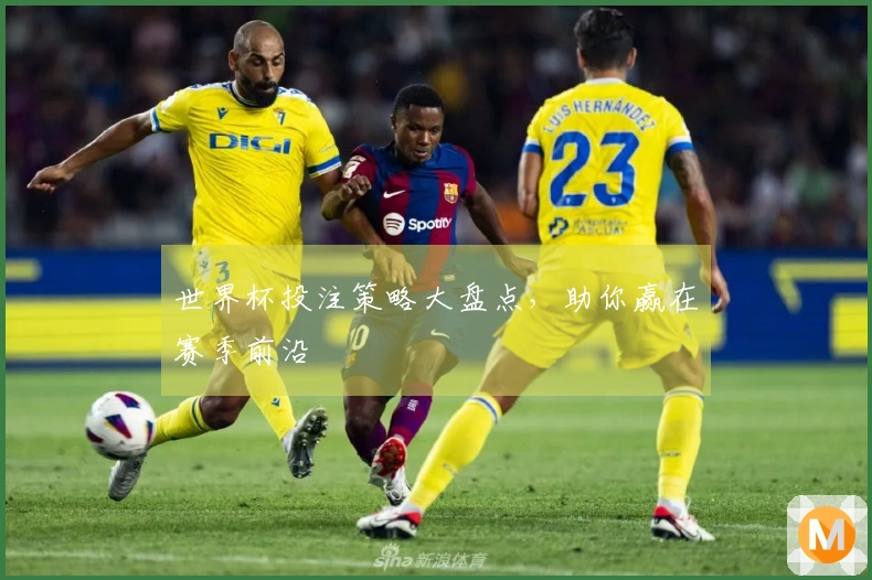 世界杯投注策略大盘点，助你赢在赛季前沿
