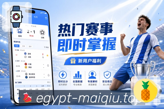 比分分析